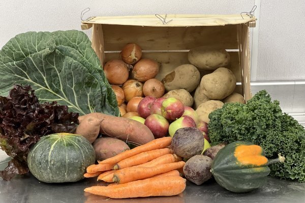 CSA Box