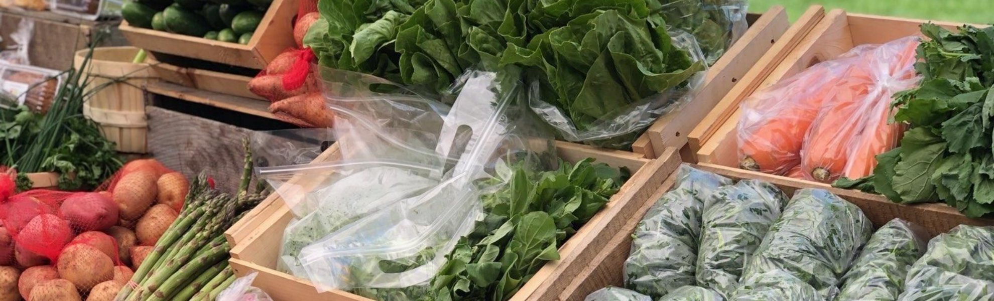 Building Strong Community