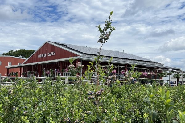 Dracut Home Farm & Farm Stand